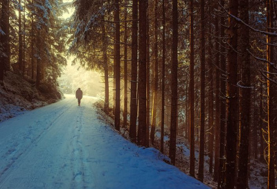 Dream Interpretations: Wandering in Dreams. Interpretation