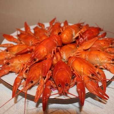 Dream interpretation crayfish crayfish dream Interpretation of a dream