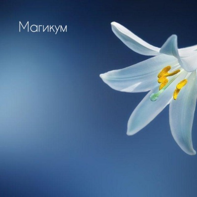 Сонник гудок снится Толкование сна